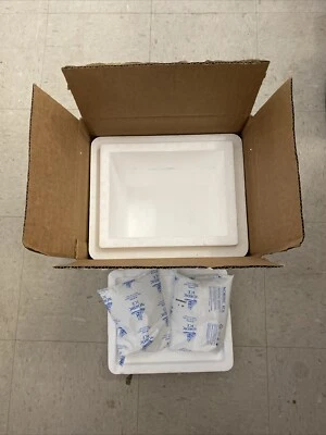 Styrofoam Insulated Medical Cooler With Outer Shipping Box and 2 Gel Ice Packs - Image 1 of 3