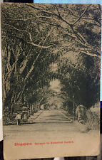 New listing
		SINGAPORE, Post Card, BOTANICAL GARDENS ENTRANCE 1905-15