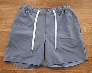Chubbies The Ice Caps 6" Everywhere Shorts Drawstring Men's Size Small EUC - Picture 1 of 10