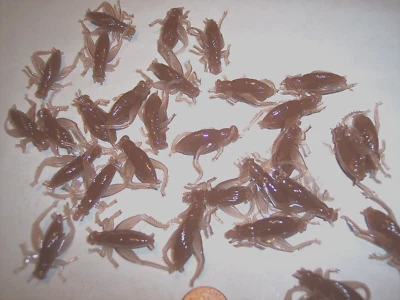 Crappie Lure Cricket Fishing Lure 40 Floating Insect Top Water Lure Trout Perch - Image 1 of 4