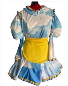 Sky inspiriertes Pantomime Dame Kostüm  - Bild 1 von 2