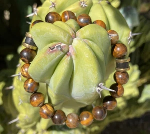 Natural Tiger's Eye Bracelet 10mm - Picture 1 of 4