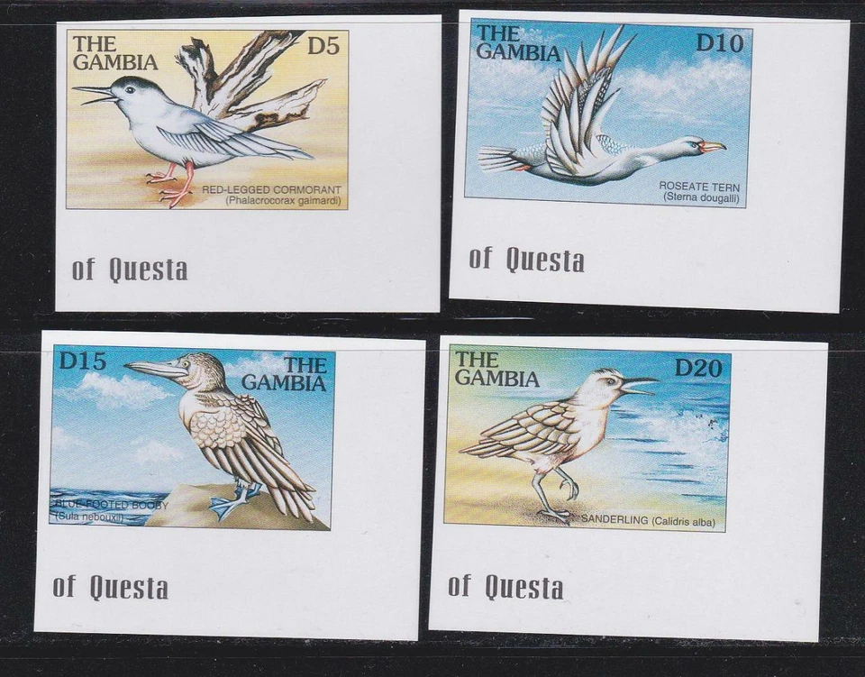 GAMBIA 1997 BIRD STAMPS SEA BIRDS IMPERF SS MNH - BIRDL605 - Image 1 of 1