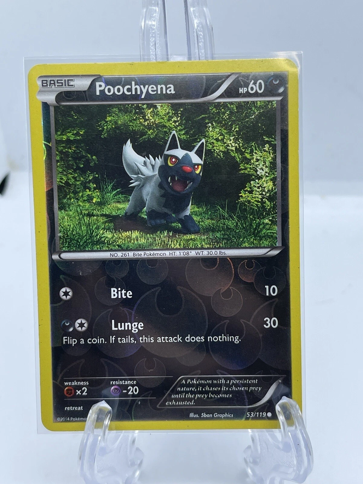 Poochyena - 53/119 - Common Phantom Forces 2014 Reverse Holo LP