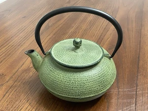 Vintage Nanbu Cast Iron Roji Studios Teapot With Tea Infuser made in Tokyo - Picture 1 of 8