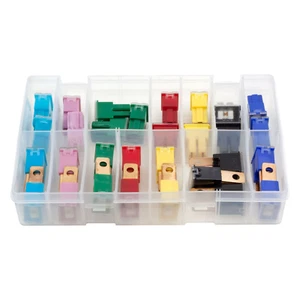 30Pcs Assorted Box of PAL Fuses Male and Female 20 30 40 50 60 70 80 100a Fuse - Picture 1 of 2