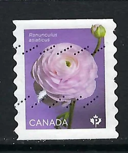 CANADA USED - SCOTT # 3374 - FROM ROLL OF 50 - RANUNCULUS - 2023 - Picture 1 of 1