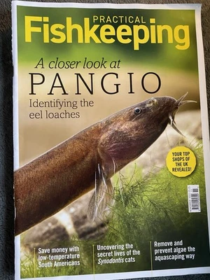 Practical Fishkeeping Magazine Issue 11 November 2022 ‘A Closer Look At Pangio - Image 1 of 2