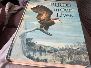 Birds in Our Lives, Alfred Stefferud, ed., Arco Publ., 1971 2nd printing - Imagen 1 de 15