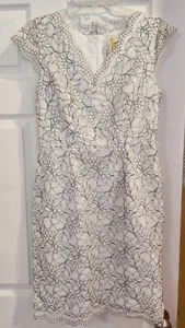 CALVIN KLEIN Womens White Lace Cocktail Sheath Dress 6 - Picture 1 of 2