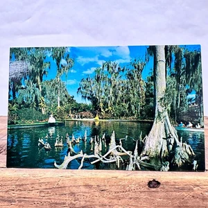 Postal de colección de Florida jardines de ciprés bellezas lago Eloise jardines de ciprés - Imagen 1 de 2