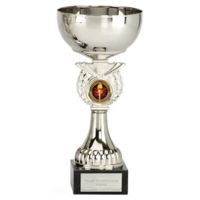 Personalised Engraved Crusader Silver Cup Great Player Team Award - Image 1 of 3