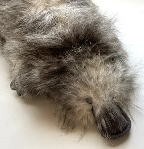 Aurora World Luxe Boutique Platypus Plush 16” Sage Stuffed Animal Toy Fluffy - Picture 1 of 9