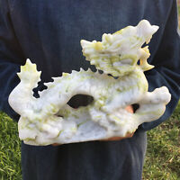 7.39LB Natural green jade lion skull hand carved crystal healing 