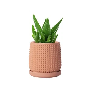 4 Inch Terracotta Beaded Planter Pot - Flower Pot with Drainage Holes and Sau... - Picture 1 of 6