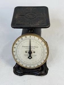 Vintage Landers, Frary, & Clark 24 LB Columbia Family Scale - Picture 1 of 4