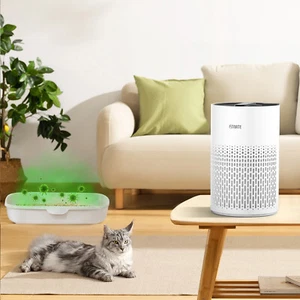 Home Large Room True HEPA Air Purifier Air Cleaner for Allergies Smoke Pet Dust - Picture 1 of 13