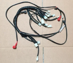 Wiring Harness Chinese ATV Quad 110cc 125cc Coolster 3125R 3125XR8 3125XR8-S - Foto 1 di 1