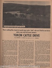 Yukon Cattle Drive of Ernest J. Shaw+Tench,Jones,Manley,Simmons