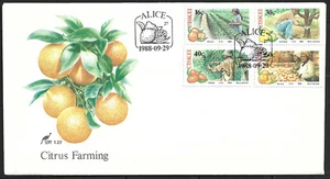 Ciskei - Cítricos FDC / Carta Primer Día 1988 Mi. 141-144 - Imagen 1 de 1