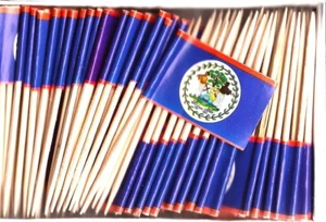 Box of 100 Belize Toothpick Flags, 100 Small Mini Belizean Flag Cupcake Picks - Picture 1 of 1