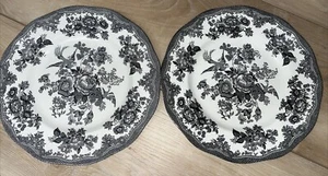 Johnson Bros ASIATIC PHEASANT BLACK Dinner Plate Set of 2 - Picture 1 of 10