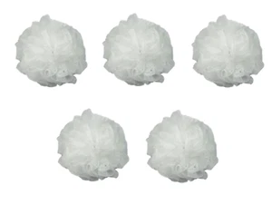 Luxury Luffa Loofah Bath Sponge On A Rope, Color May Vary (5 pack) - Picture 1 of 1