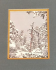 Snow Trees by Colorado Artist Gary Robertson  5" x 7" Blue / Lt Brn Mat - Print