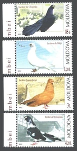 Moldova 2012 Birds , Doves , Pigeons , 4 v., MNH - Picture 1 of 1