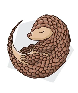 3” Pangolin Sticker Asia Save Rare Endangered Species Scales Medicine Poaching - Picture 1 of 1