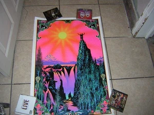 GARDEN OF EDEN BLACKLIGHT POSTER 1970 VELVET /FLOCKED VINTAGE STAR CITY - Bild 1 von 9