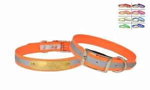 WARNER SPORT REFLEKTIERENDES DAYGLO HUNDEHALSBAND ORANGE 23" KOSTENLOSE GRAVUR AUSWEISSCHILD - Bild 1 von 5