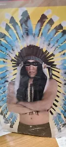 Feather Head Dress Native American Western Head Dress War Bonnet - Picture 1 of 1