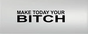 Make Today Your Bitch Vinyl Decal Home Décor 10" x 40" - Picture 1 of 1