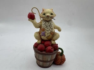 Jim Shore Gatto Seduto su Mela Secchio Con Zucca - Foto 1 di 5