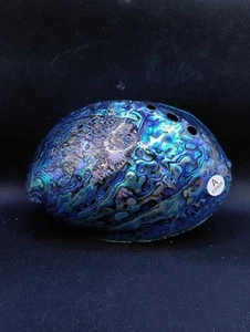 BIG premium 5.6" paua abalone sea shell Craft smudging home decor #13305 - Picture 1 of 4