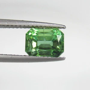 2.55 Ct ~ Natural Mind Blowing Luster Green Apatite Radiant Octaogn Cut- A1239 - Picture 1 of 2