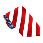 Collage Neck Tie National Day Neck Tie Men Independence Day Clothes