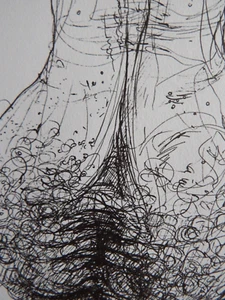 Pen & Ink Hand Drawn Penis Anatomical Illustration NSFW Male Nude Phallus - Picture 1 of 16