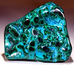 3.5 inch 6 oz Top Vivid Chrysocolla with Malachite, Congo! CR480 - Picture 1 of 4