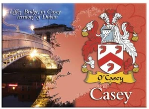 Casey Imán de nevera con imagen metálica de recuerdo de apellido irlandés regalo - Imagen 1 de 2