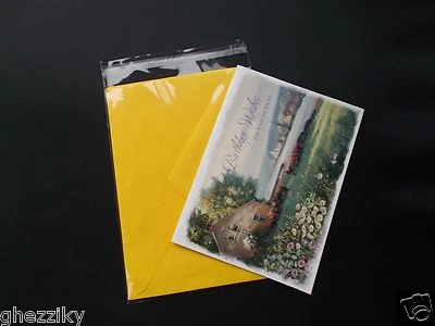 1000 A2+ 4 5/8 x 5 3/4 Clear Resealable Cello Bag Envelope Cellophane Sleeve - Image 1 of 3