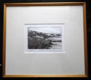 Limited Edition Radierung /1/25 von Fay Manny? von "Rock Slope No 2" signiert nummeriert - Bild 1 von 6