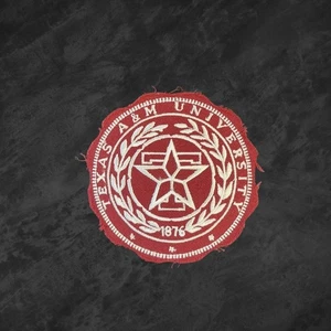 Texas A&M Patch Red Round Embroidered Iron On College Logo Badge Applique - Picture 1 of 4