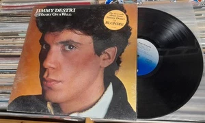 JIMMY DESTRI Herz an einer Wand Vinyl LP Schallplatte CHR 1368 Blondie - Bild 1 von 3