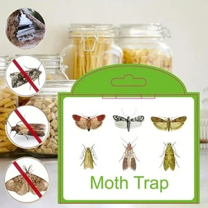 Trampas adhesivas para polillas de comida no tóxicas para atrapar polillas moscas hogar 2 piezas - Imagen 1 de 7