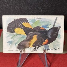 1936 Church & Dwight J96 Useful Birds of America 9th Series #1 Redstart