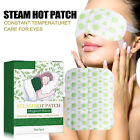 15 Stck Steam Eye Mask Fatigue Relief Reduce Dark Circle Moist Heat Eye Mas DE