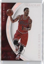 2015-16 Panini Immaculate Platinum 1/1 Derrick Rose #9 6m7