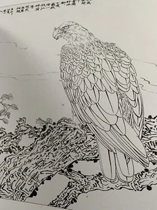 Hawk Outline Book Taka Japanese Tattoo Art Reference Book Bird Raptor - Picture 1 of 12